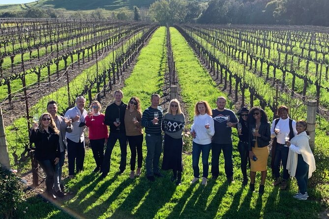 Small Group: Ultimate Napa & Sonoma Wine Tour from San Francisco - The driving day: comfort, group size, and guide energy