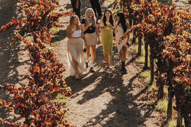 Small Group: Ultimate Napa & Sonoma Wine Tour from San Francisco - Wine-country value at $179: what you get and what costs extra