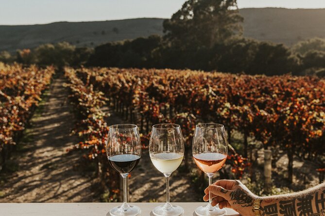 Small Group: Ultimate Napa & Sonoma Wine Tour from San Francisco - What to pack (and the 21+ ID rule)