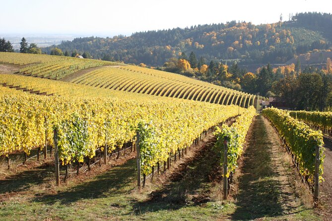 Small Group: Willamette Valley Wine Tour From Portland (Tasting Fees Included) - Stop One: Sea to Summit’s Role in Your Day