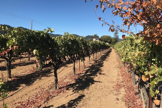 Small-Group Wine Country Tour from San Francisco with Tastings - Price and Value: Is $179 a Good Deal?
