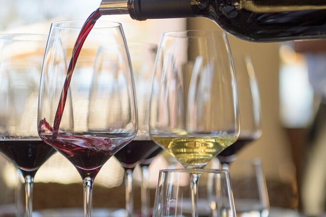 Small group Wine Tasting Tour from Lagos - The small-group setup: why your guide matters here