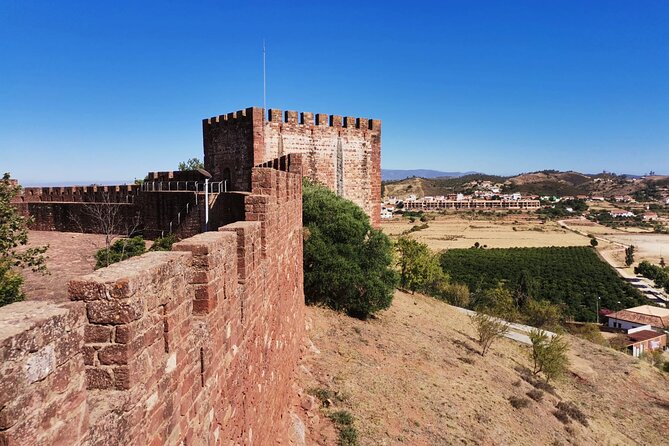 Small group Wine Tasting Tour from Lagos - Price and value: what you’re paying for at $78.64 per person