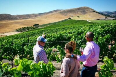 Small-Group Wine Tour to Private Locations in Santa Barbara - The 10:00am start, Mercedes pickup, and how to plan your day