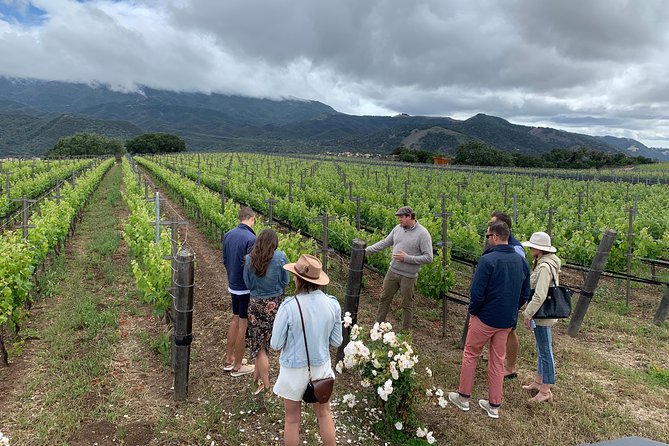 Small-Group Wine Tour to Private Locations in Santa Barbara - How the tastings work: one-on-one conversations that actually answer questions