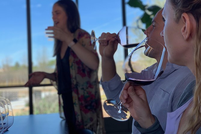 Small-Group Wine Tour to Private Locations in Santa Barbara - Lunch and hydration: an included break that doesn’t feel like filler