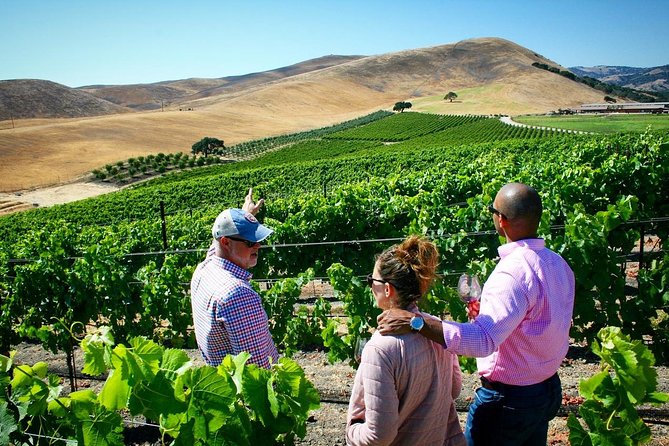 Small-Group Wine Tour to Private Locations in Santa Barbara - The 10:00am start, Mercedes pickup, and how to plan your day