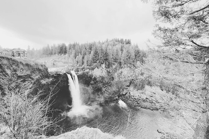Snoqualmie Falls and Wineries Tour from Seattle - Guide Style: What You Can Expect From the Driver-Guide
