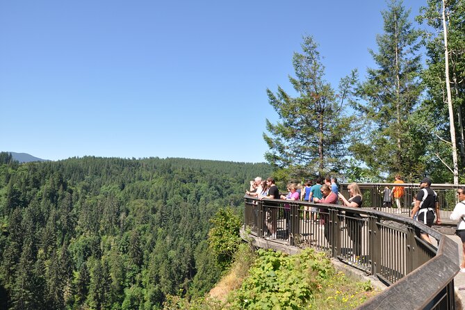 Snoqualmie Falls and Wineries Tour from Seattle - Who This Tour Fits Best (and Who Might Want Another Plan)