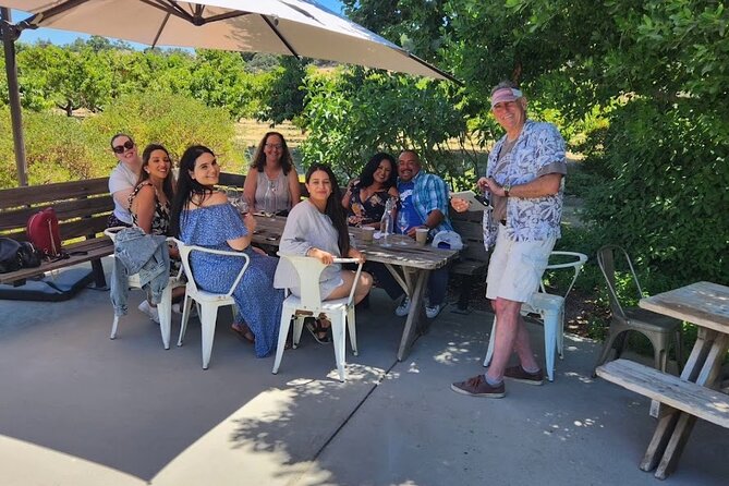 Solvang Santa Ynez Valley Small Group All-Inclusive Wine Tour - Tastings at boutique wineries: six samples and real comparisons