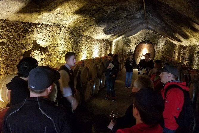Sonoma County Wine Segway Tour - Wine tastings, coupons, and what extra spending looks like