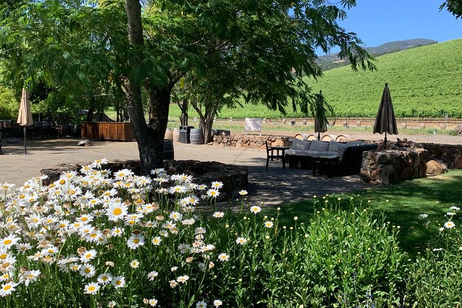 Sonoma or Napa -8hr- Private Wine Tour with Concierge Service - Private Napa and Sonoma touring that feels like a real day out