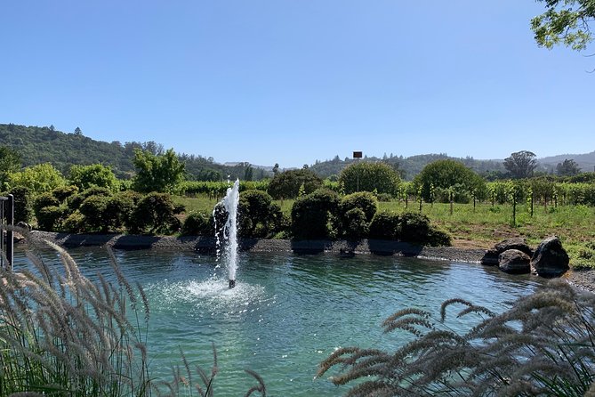 Sonoma or Napa -8hr- Private Wine Tour with Concierge Service - Napa Valley for four hours: big-name wineries with a realistic pace