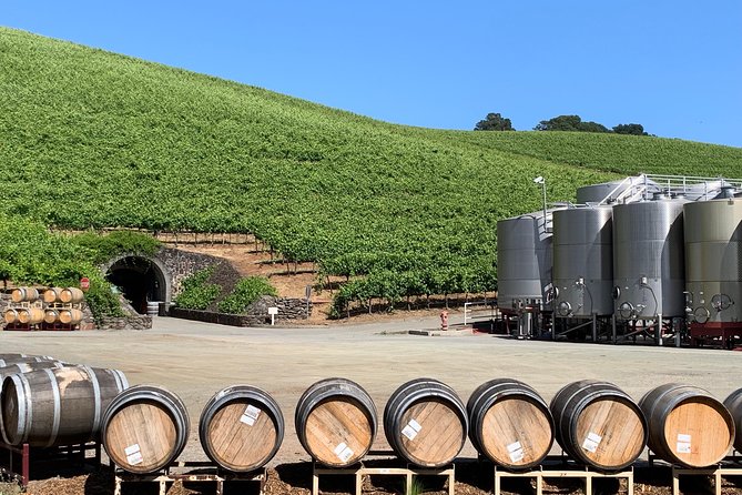Sonoma or Napa -8hr- Private Wine Tour with Concierge Service - Transport and timing: why private pickup matters in Napa and Sonoma