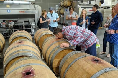 Sonoma Valley Bike and Wine Ebike Tour - Why Sonoma by E-Bike Feels Like the Best Use of Half a Day