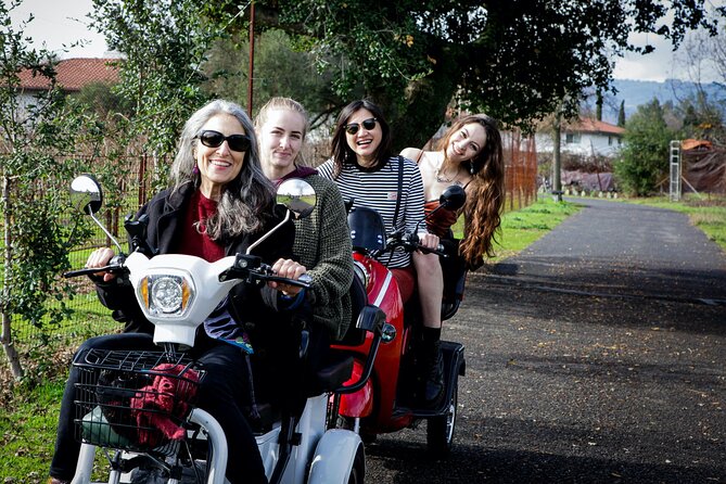 Sonoma Wine Country Electric Trike Tour - 3 hours - Why electric trikes feel different than a wine shuttle