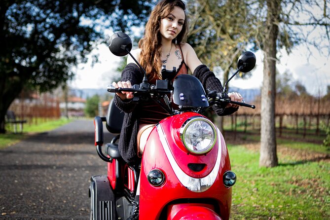 Sonoma Wine Country Electric Trike Tour - 3 hours - Price and value: what $175 buys you (and what it doesn’t)