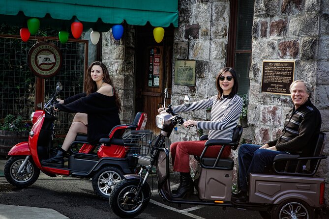 Sonoma Wine Country Electric Trike Tour - 3 hours - Who this tour fits best (and who should think twice)