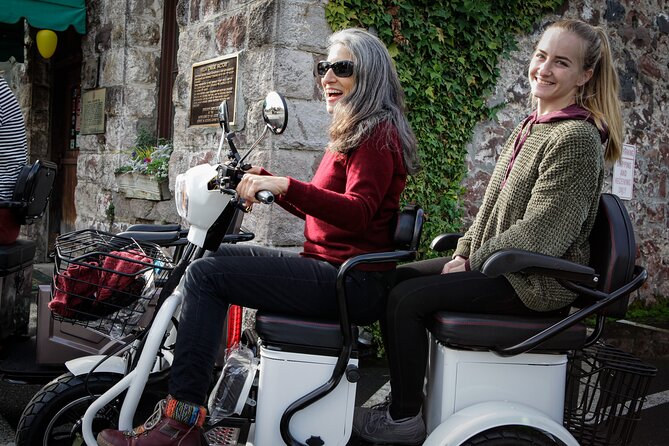 Sonoma Wine Country Electric Trike Tour - 3 hours - Practical tips to make your day smoother