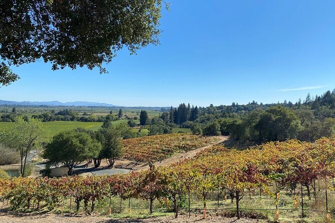 Sonoma Wine Rides: Sonoma County Join-In Group Wine Tasting Tours - What to Bring (So the Day Stays Comfortable)