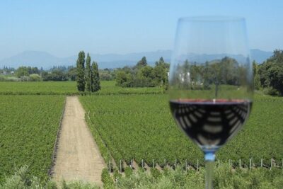 Sonoma Wine Tour with 2 Tastings Included Small-Group Half Day - Homewood Winery: Included Tasting Time With a Fun, Photo-Friendly Pace
