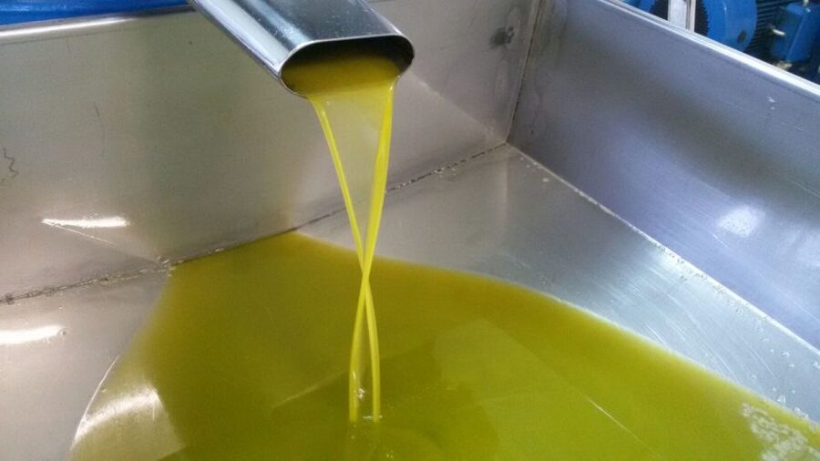 Sorrento: Lemon, Olive Oil and Wine Tasting Tour with Lunch - Key highlights worth marking on your mental map