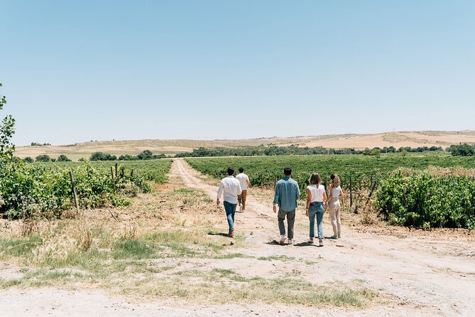 Spanish Villages & Winery Visit with Wine Tasting and Tapas Lunch - Who This Tour Suits Best (And Who Might Not Love It)