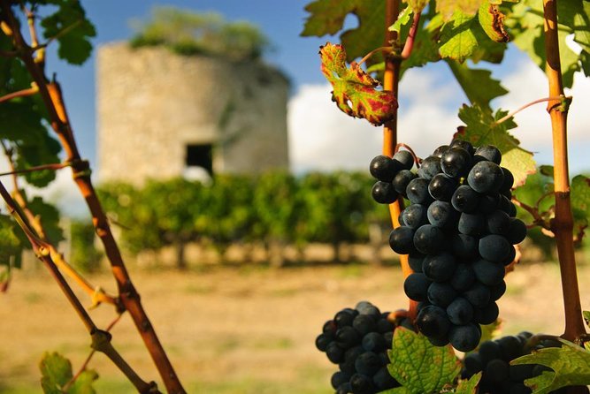 St-Emilion & Médoc Wine Day Tour: Chateaus, Tastings and Lunch - Key highlights that make this day tour work