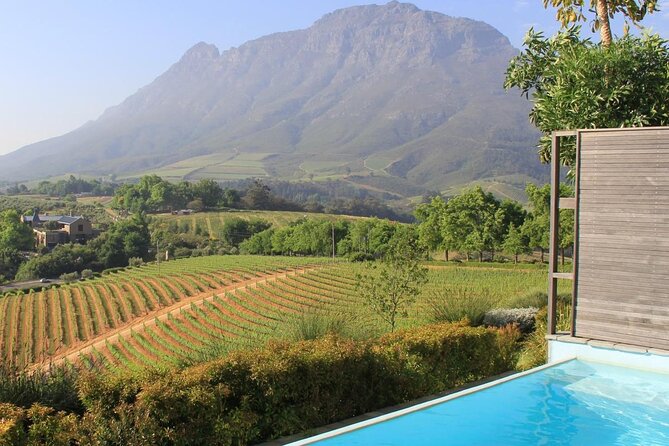 Stellenbosch & Franschhoek 20 Wine Tasting + Lunch Shared Tour - Morning Pickup and the Cape Winelands Route That Actually Works