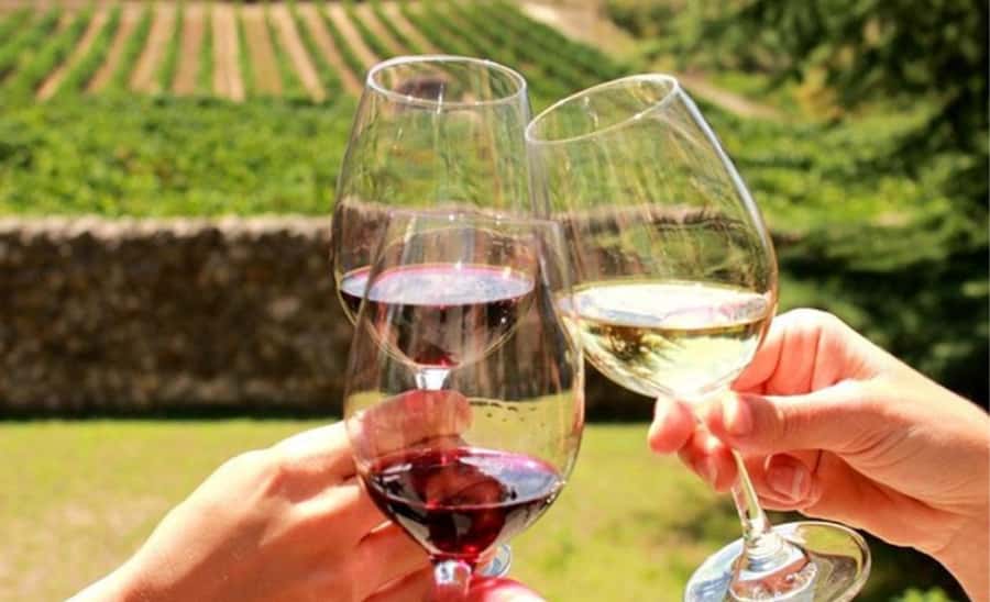 Stellenbosch: Half-Day Wine Tour - Key things I’d focus on before you book
