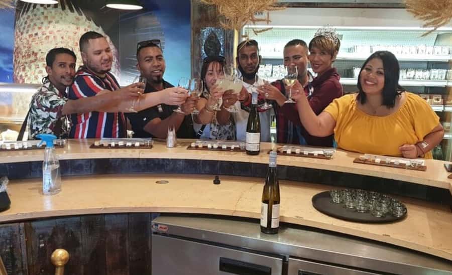 Stellenbosch: Half-Day Wine Tour - Cellar Visit and Wine-Making Basics Without the Lecture Tone