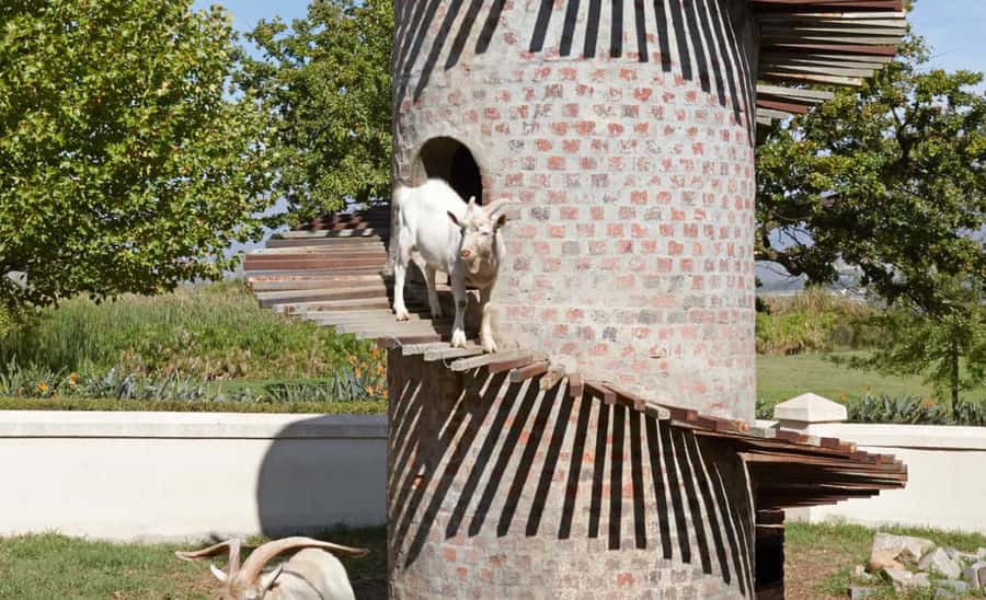 Stellenbosch: Half-Day Wine Tour - The Second Vineyard Experience: French-Style Influence and Natural, Minimal Intervention