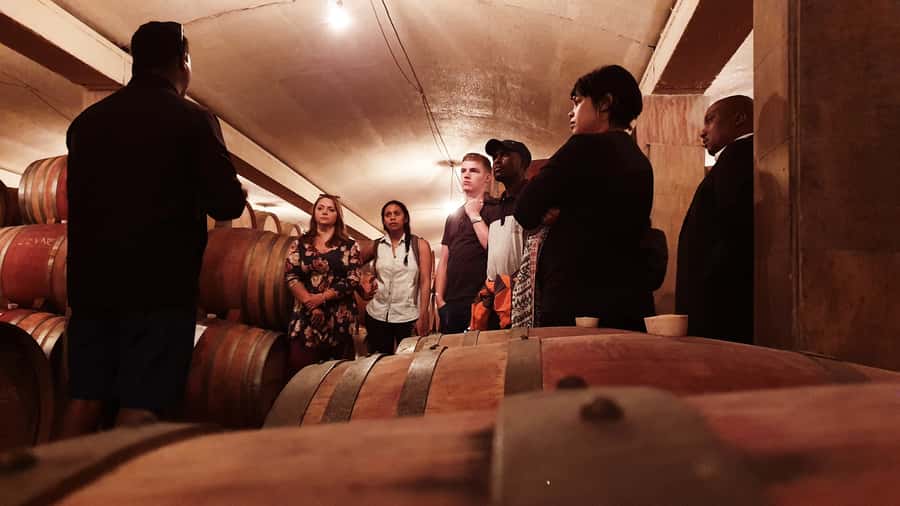 Stellenbosch: Historical Bike Tour & Wine Tasting - The Highlights That Matter on This Stellenbosch Bike-and-Wine Day