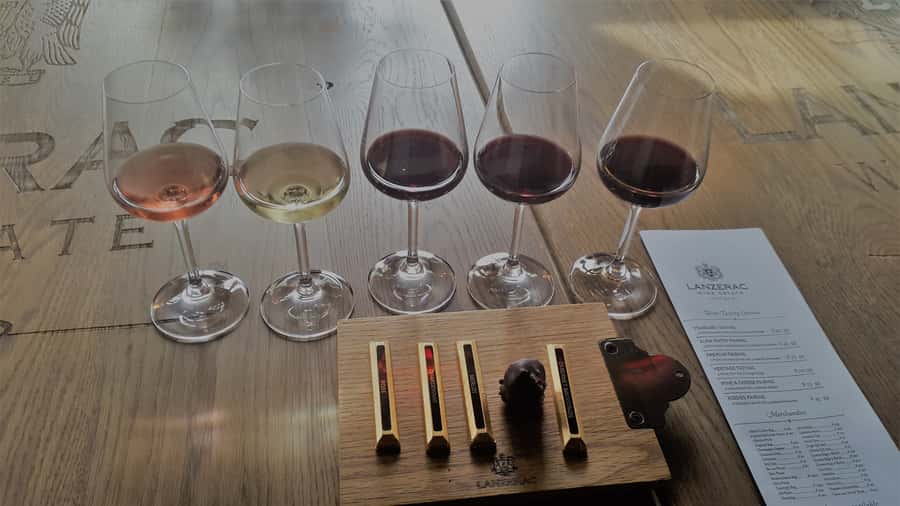Stellenbosch: Historical Bike Tour & Wine Tasting - The Second Estate: Cape Dutch Architecture, Private Cellar Tour, and Chocolate Pairing