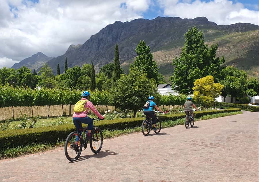 Stellenbosch: Historical Bike Tour & Wine Tasting - How Hard Is It, Really? Choosing Between Bike and E-Bike