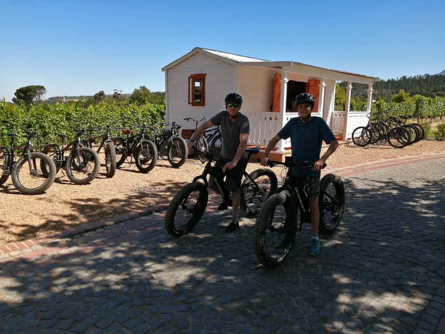 Stellenbosch: Wine Farm E-Bike Guided Tour - Key Highlights You’ll Notice Fast