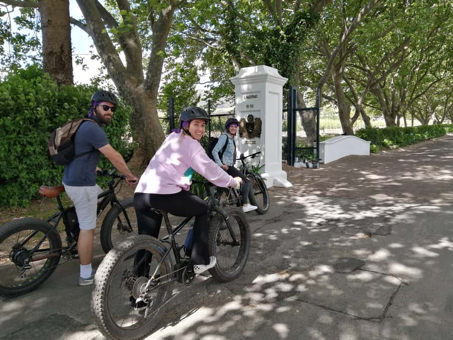 Stellenbosch: Wine Farm E-Bike Guided Tour - The 15-Minute Safety Briefing That Makes the Whole Tour Feel Easier