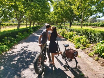 Stellenbosch: Wine Farm E-Bike Guided Tour - Meeting at Vinebikes on Lanzerac: What to Expect Before You Ride