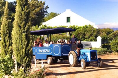 Stellenbosch Wine Tractor hop-on-hop off wine tasting tour - The estates you can choose: 65 minutes at each named stop