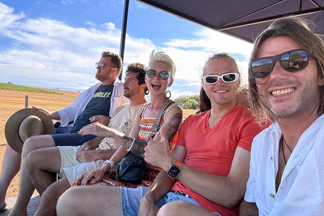 Stellenbosch Wine Tractor hop-on-hop off wine tasting tour - Cape Town to Stellenbosch: if you hate driving, plan the shuttle