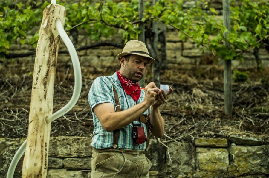 Stuttgart: Guided Vineyards Tour - Key things you’ll like