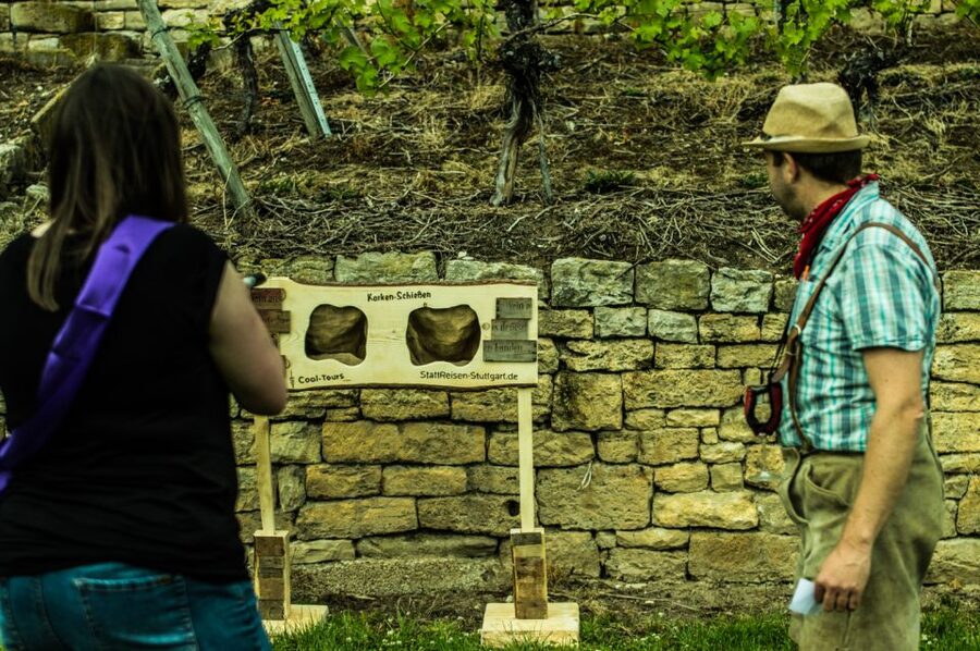 Stuttgart: Guided Vineyards Tour - Price and Value for a Small-Group Stuttgart Tour