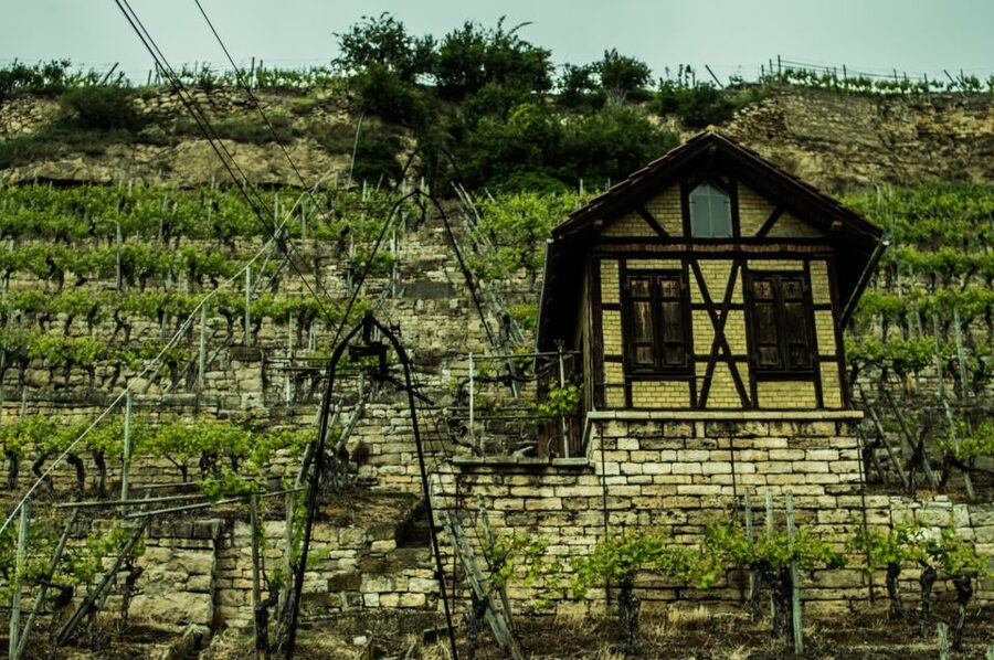 Stuttgart: Guided Vineyards Tour - Logistics That Matter on the Ground