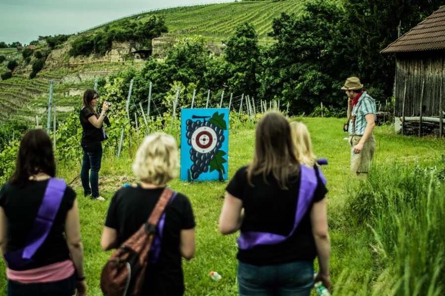 Stuttgart: Guided Vineyards Tour - Should You Book the Stuttgart Guided Vineyards Tour?