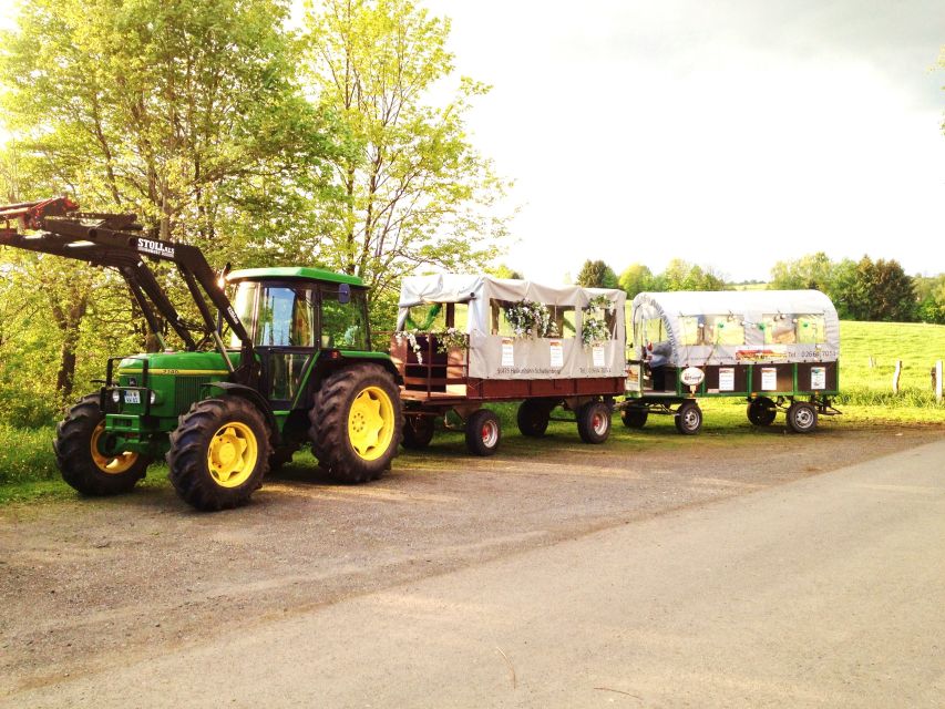 Stuttgart: Vineyard Tour by Covered Wagon - Key Highlights You’ll Care About