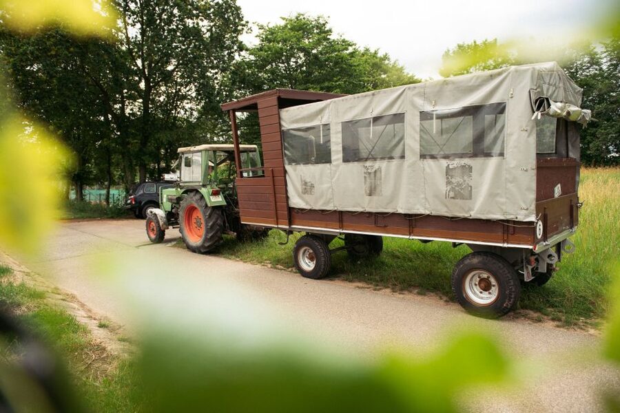 Stuttgart: Vineyard Tour by Covered Wagon - Practical Details That Help You Enjoy It