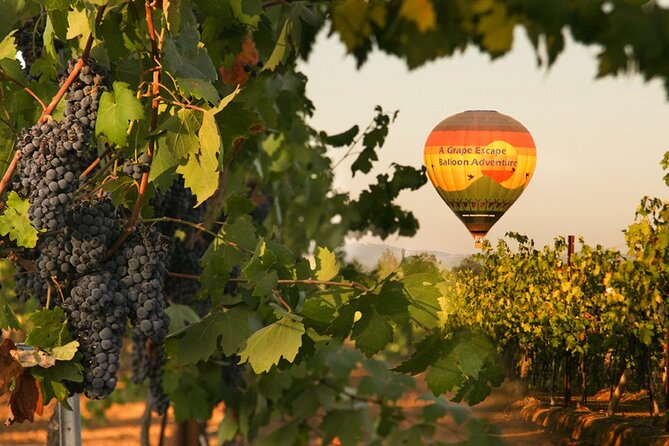 Sunrise Hot Air Balloon Flight over the Temecula Wine Country - Key highlights to know before you book