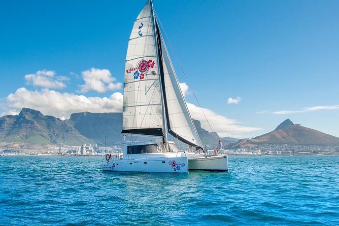 Sunset Champagne Cruise from Cape Town - What the Crew Adds: Commentary, Music, and Marine Spotting