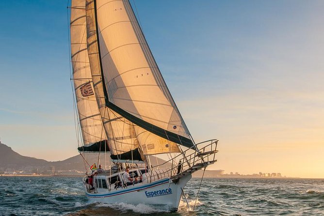 Sunset Champagne Cruise from Cape Town - Who This Cruise Suits Best