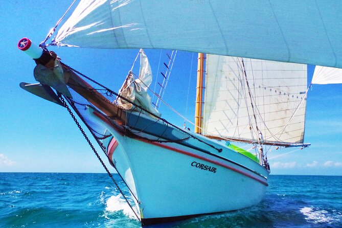Sunset & Champagne Cruise on a Classic Schooner with boat dogs - Key things that make this cruise worth it